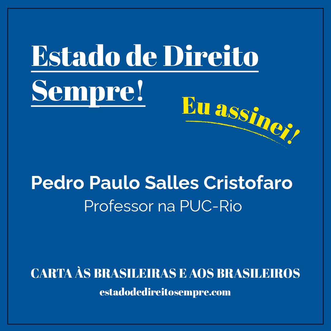 Pedro Paulo Salles Cristofaro - Professor na PUC-Rio. Carta às brasileiras e aos brasileiros. Eu assinei!