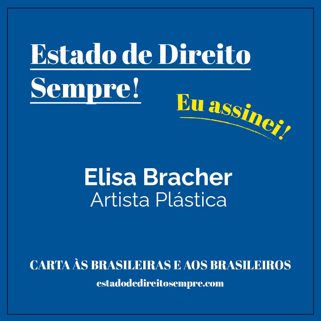 Elisa Bracher - Artista Plástica. Carta às brasileiras e aos brasileiros. Eu assinei!