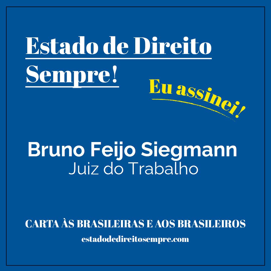 Bruno Feijo Siegmann - Juiz do Trabalho. Carta às brasileiras e aos brasileiros. Eu assinei!