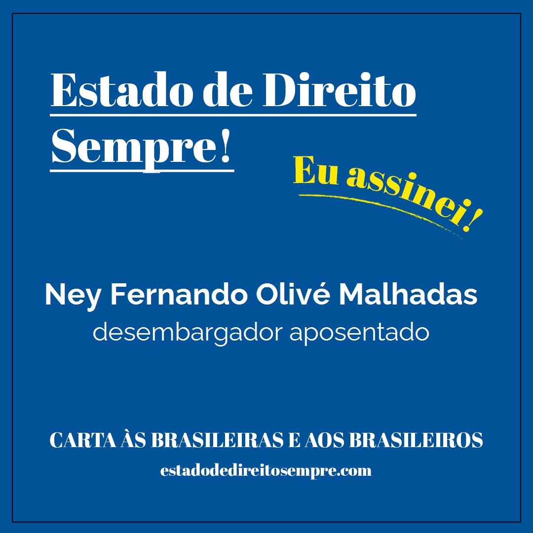 Ney Fernando Olivé Malhadas - desembargador aposentado. Carta às brasileiras e aos brasileiros. Eu assinei!